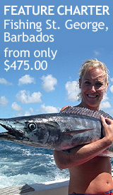 FEATURE CHARTER FEATURE CHARTER