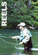 REELS! REELS!