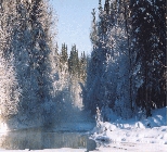 Fishing Braeburn Lake Yukon Fishing Braeburn Lake Yukon