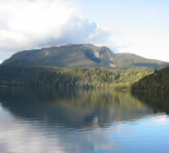 New Zealand Fishing