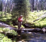 Fish Gospel Hump Wilderness Alpine Lakes Fish Gospel Hump Wilderness Alpine Lakes