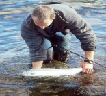 Freshwater and saltwater Fishing Vancouver Island