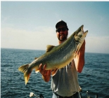 Salmon and Trout Lake Michigan Salmon and Trout Lake Michigan