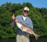 Southwest Florida's Bays, Rivers And Shore.