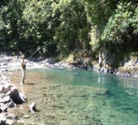 Flyfishing Lake Taupo