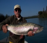Alaskan Lodge, Kenai River Fishing & Charters