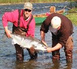 Gaspe Atlantic Salmon Fishing -Dry Fly Fishing