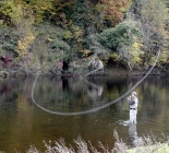 Professional Fly Casting & Fly Fishing Tuition