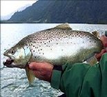 Experience Patagonia, Fishing Lodge