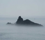 Sport Fishing & Big Game Guided Hunting Trips