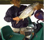 Fishing South Africa