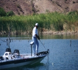 Learn To Catch Largemouth And Smallmouth Bass Learn To Catch Largemouth And Smallmouth Bass