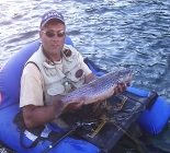 Argentina, Big Browns Trouts In Chubut