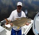 Upper Zambezi Luxury Housboat Tiger Safari Upper Zambezi Luxury Housboat Tiger Safari