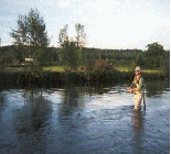 France Fly Fishing The Normandy Chalk Streams
