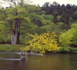 Kamchatka Kolpakova river