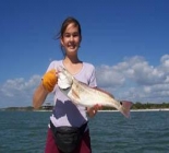 Southwest Florida's Bays, Rivers And Shore.