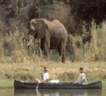 Safari & Fishing Adventure Safari & Fishing Adventure