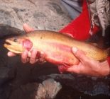Wilderness Guest Ranch And Outfitters