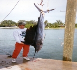 Fishing Florida, Bahamas & Us Virgin Islands Fishing Florida, Bahamas & Us Virgin Islands