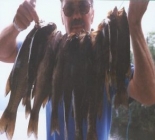Sportfishing And Guiding In Vermont