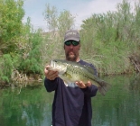 Fishing Western Arizona & The Colorado River System Fishing Western Arizona & The Colorado River System