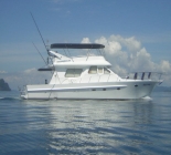 Special Sailfish, Ko Rok Islands Special Sailfish, Ko Rok Islands