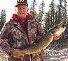 Fly Fishing Northern Pike Outardes River