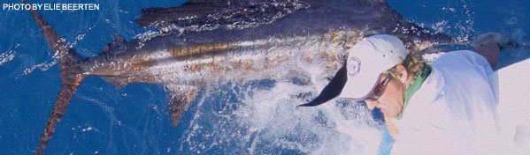 Fishing Africa Fishing Africa