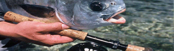 Fishing Central America