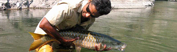 Fishing India Fishing India