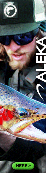 ALEKA - Catch the moment ALEKA - Catch the moment