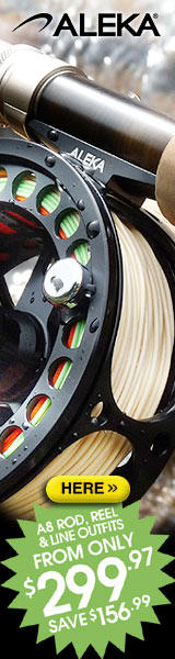 ALEKA - Catch the moment ALEKA - Catch the moment