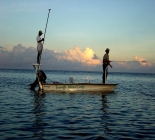 Caribbean Island Fly Fishing Caribbean Island Fly Fishing