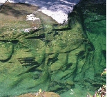 Atlantic Salmon Fishing Gaspe Quebec